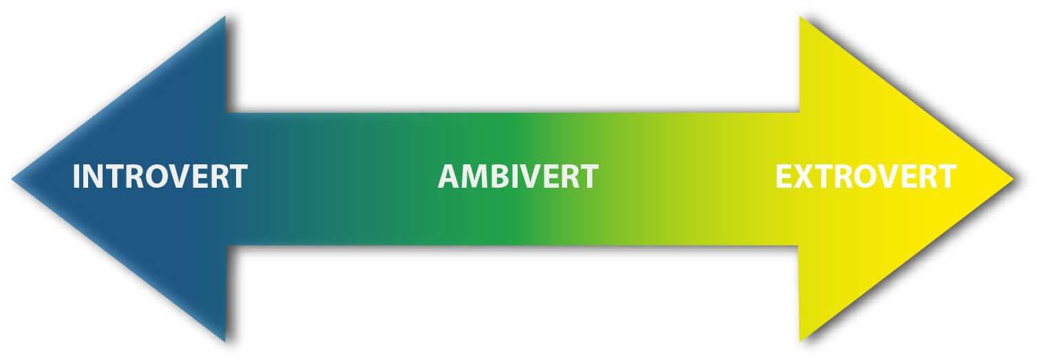 Who are Ambiverts