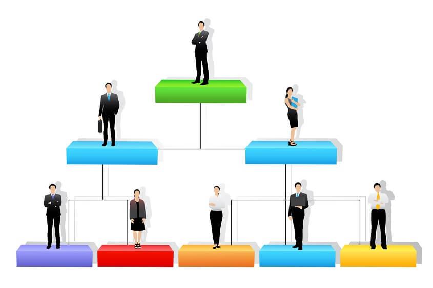 Analyze Organizational Structure