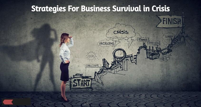 Business survival in a crisis